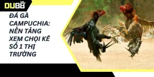 Đá gà campuchia